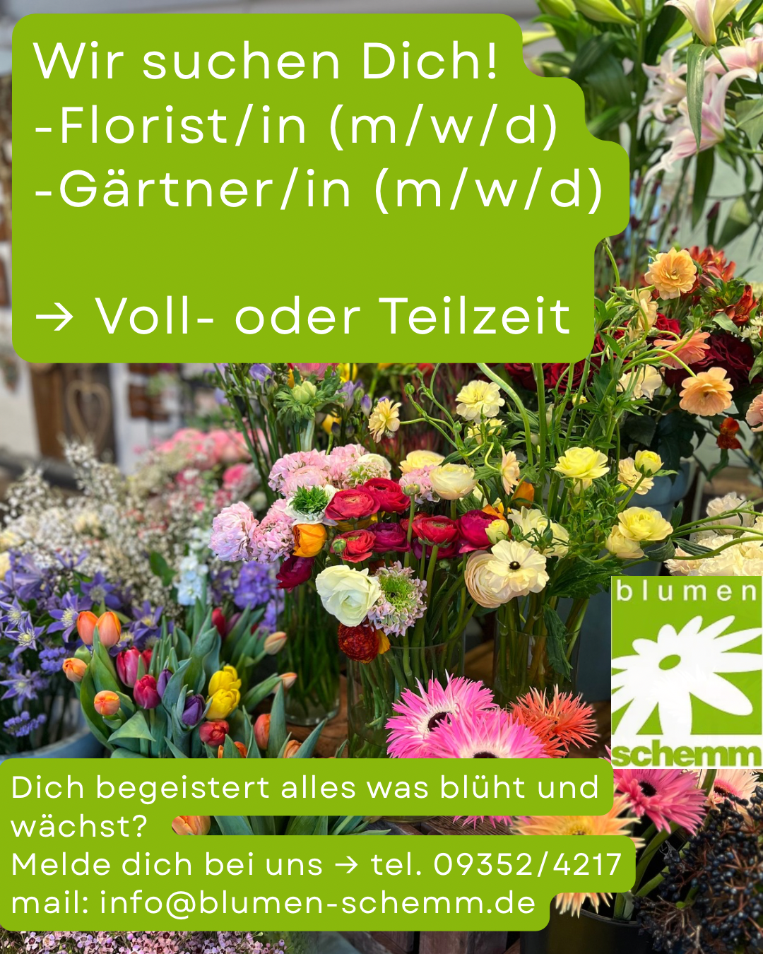 Wir suchen Dich! Florist/in (w/m/d) & Gärtner/in (w/m/d)