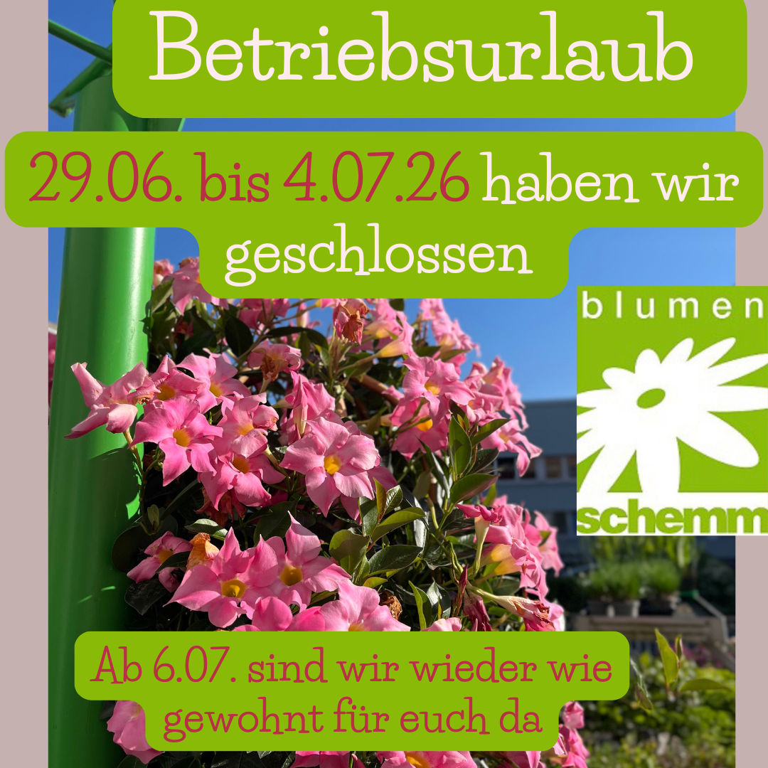 Wir machen Urlaub vom 29.06. bis zum 04.07.26